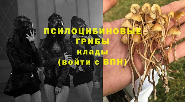 эйфоретик Армянск