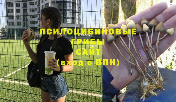 эйфоретик Армянск