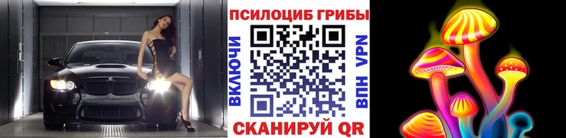 где найти наркотики  Междуреченск  нарко площадка формула  Псилоцибиновые грибы прущие грибы 