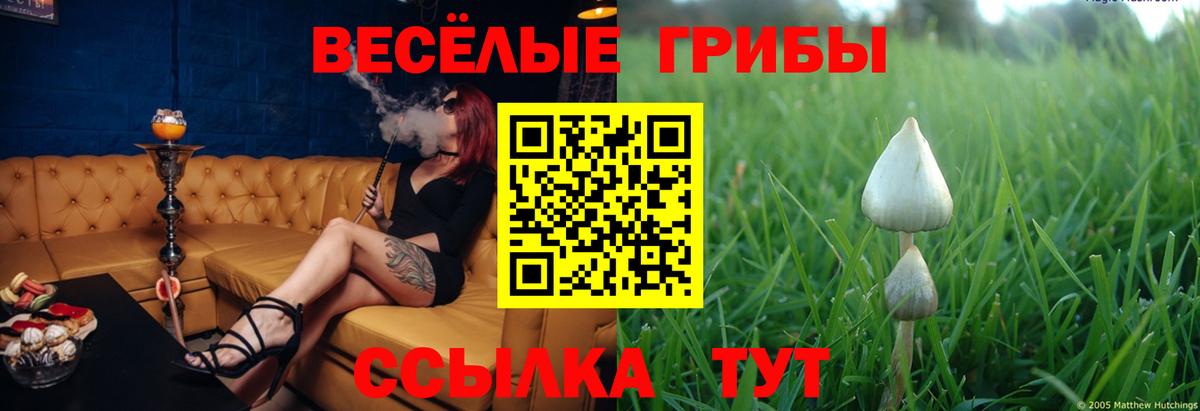 Междуреченск  Псилоцибиновые грибы мухоморы  Вход с VPN  Галлюциногенные грибы ЛСД 